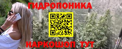 трава Можайск