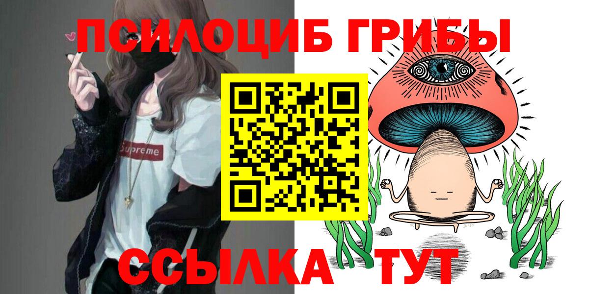 Псилоцибиновые грибы Psilocybe Ялуторовск