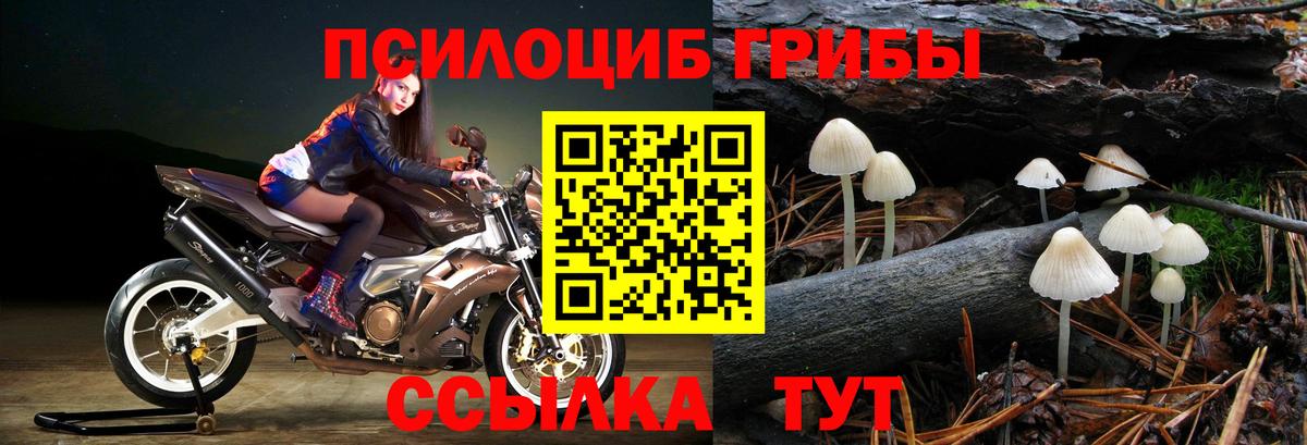 Ялуторовск  Галлюциногенные грибы MAGIC MUSHROOMS  Вход с VPN 